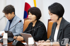한정이 민주당 정책위의장 결산심사 방향은