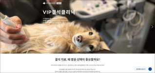 VIP동물의료센터 동대문점, 결석 치료 특화 결석클리닉 개설