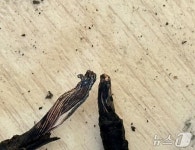 경기 광주 어린이집서 화재…원생 등 7명 자력 대피