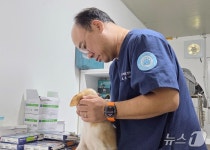 인천스카이·주안동물메디컬센터, 세계 개의 날 앞두고 의료봉사