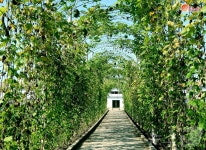 北, 신의주시 자연에너지발전소 조명…행복은 제 손으로