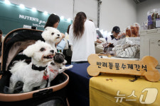 멍멍! 수제 간식은 못 참지