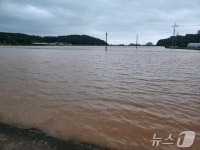 충남 서천에 시간당 137㎜ 넘는 폭우…도로 통제·피해 신고 잇달아