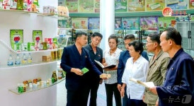 北 자강도, 고려약 개발 사업들 적극 전개