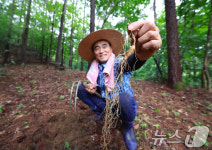 함양산삼 드세요