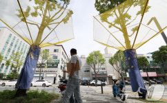 낙과수집기 설치된 은행나무