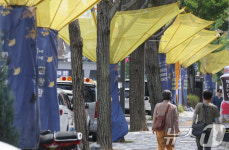 가을 불청객 보호막 설치