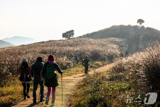 BTS RM 들꽃놀이 촬영지 합천 황매산 억새축제 개최
