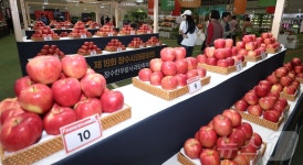 색에 반하고, 맛에 취하고…빨간 맛에 물든 장수 한우랑 사과랑 축제장