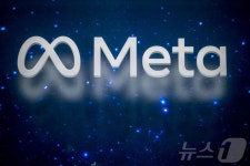 메타-美·獨 미디어그룹 라이선스 협상…다른쪽선 저작권소송