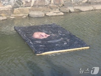 다대포, 예술의 바다가 되다…언더커런츠: 물 위를 걷는 물결들