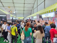 금산군 국제 K-인삼교역전에 방문객 7만6815명 돌파