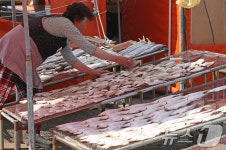 제수용 생선 건조 한창