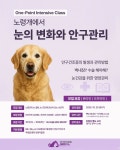 한국반려동물영양연구소, 25일 세미나…노령견 눈 건강 집중 조명