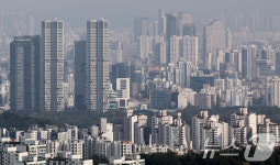 신장미 사진 3