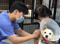 FM동물메디컬센터, 인천 보호소에 1000만원 기부…최신 MRI 도입도