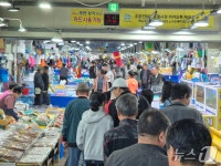 빗속에도 오징어회 뜨러 왔어요…주문진 수산시장, 식도락객 북적