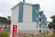 북한 낙원군 세포농장 새집들이 경사…명절 분위기로 들끓어