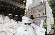 연휴 끝나고 모인 스티로폼