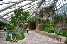 포항 환호공원 식물원 열대로의 초대