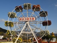 양산시, 양산국화축제 24일 황산공원서 개막