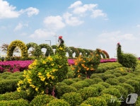 연천군, 17~26일 전곡리유적지서 ‘제7회 연천국화축제’ 개최