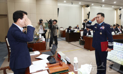 [국감] 거수경례 하는 진영승 합참 의장