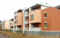 北 안주시 송학농장에 들어선 새 문화주택들