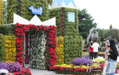 가을 물들이는 유성국화축제