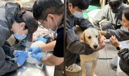 사람이 준 상처 사람이 치유…해든동물의료센터, 보호견에 사랑 나눠