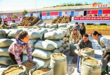 北, 낟알털기 중요성 강조…평원군 남동농장 조명