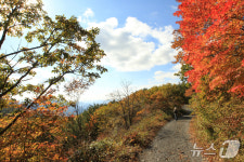 제1회 운탄고도 소원의 길 트레킹…11월 1일 하이원리조트서