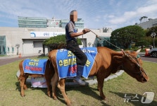 수원시청에 등장한 소 3마리…도시가스 공급 공사비 지원하라