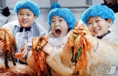 서해안소금+고랭지배추+강원양념비법…평창서 즐기는 김장축제
