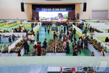 화순 난 명품 박람회 26일까지 하니움문화스포츠센터