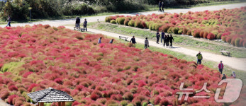 양산 황산공원 댑싸리
