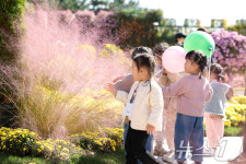 핑크뮬리 예뻐요