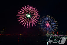 APEC 회의 응원하는 불꽃 쇼