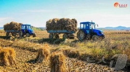 北 각 농촌서 농사 마무리 투쟁…평원군 남동농장 조명