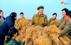 北 각 농촌서 농사 마무리 투쟁…연안군 화정농장 조명