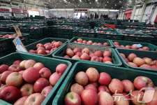 향긋한 가을사과