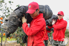 들녘으로 달려간 해병대