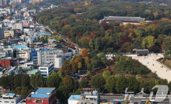 종묘 앞 142m 빌딩 건축 가능