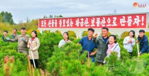 北 산림복구로 100만 정보 산림 조성…쓸모있는 황금산 만들자