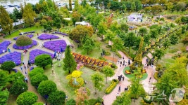 7000만 송이 가을꽃의 향연 ‘유성국화축제’ 성료