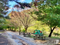 계룡산국립공원 탄소중립 피크닉존 주말 이벤트 시범 운영