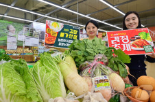 농협유통 하나로마트, K-김장 대축제 열어