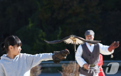 매 사냥 체험
