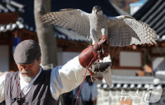 대전문화재단 매 사냥 체험