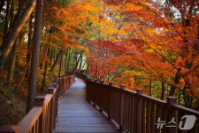 휠체어 타고 명품 노을 감상…진주시 진양호 노을길 준공